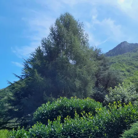 Cauterets 木屋 科特雷